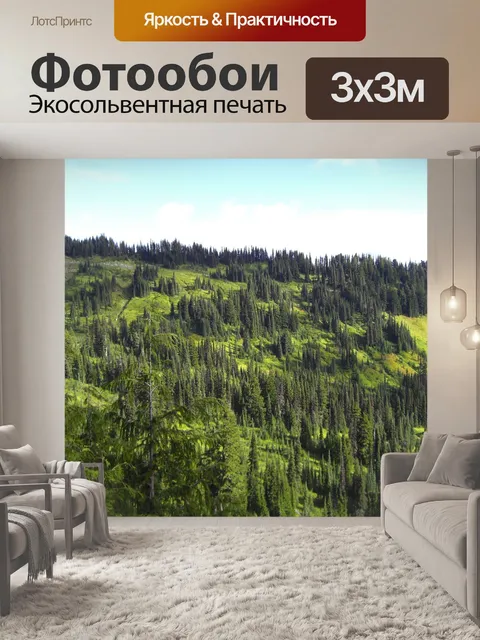 Фотообои Сосна