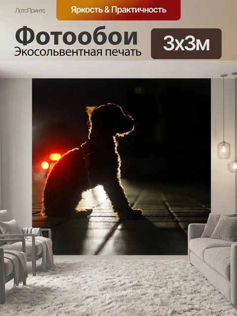 Фотообои Собака