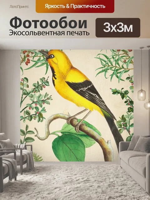 Фотообои Винтажное искусство тропическая птица