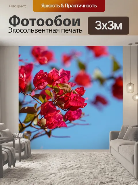 Фотообои Воздушный