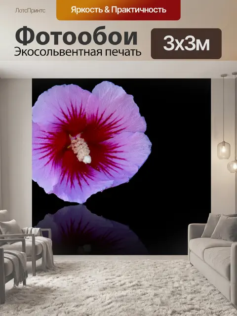 Фотообои Цветок гибискуса