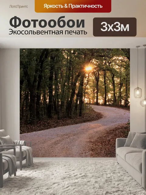 Фотообои Восход солнца в лесу