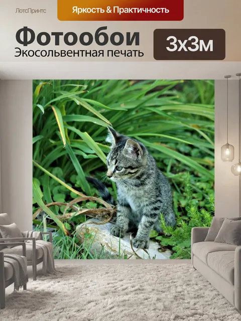 Фотообои Серый котенок в цветочном саду