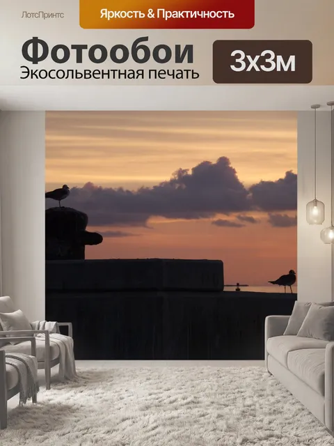 Фотообои Силуэт
