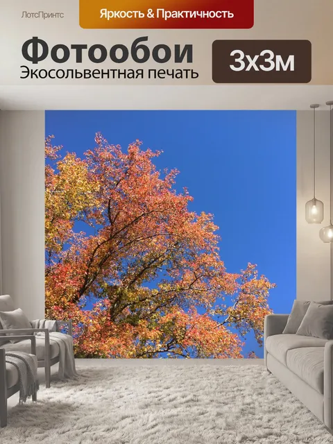 Фотообои Синее небо