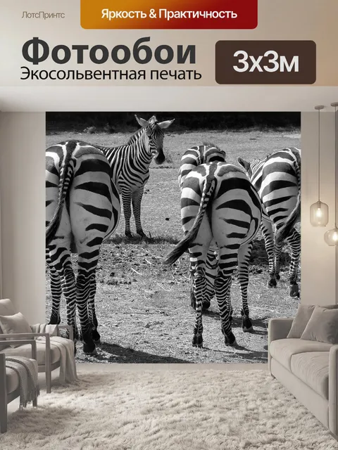Фотообои Зебры