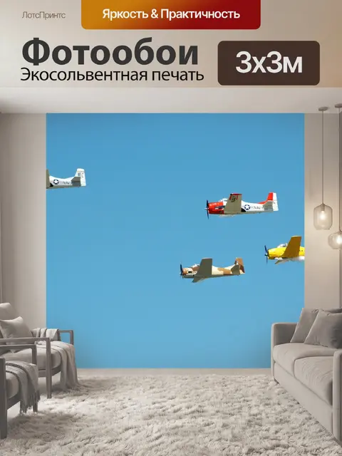 Фотообои Самолеты на авиашоу