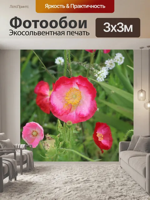 Фотообои Красный мак