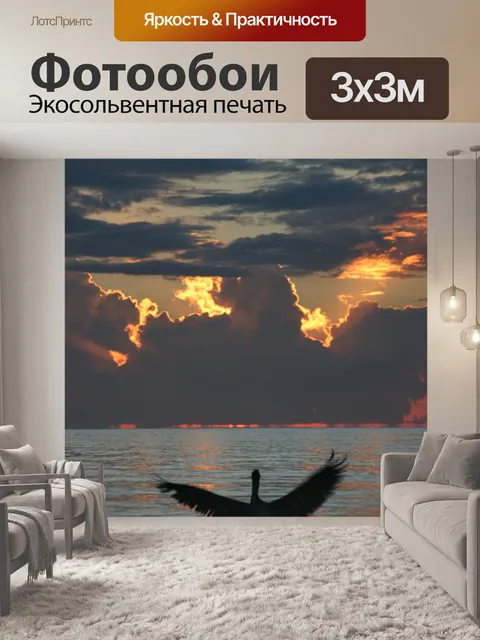 Фотообои Пеликаны
