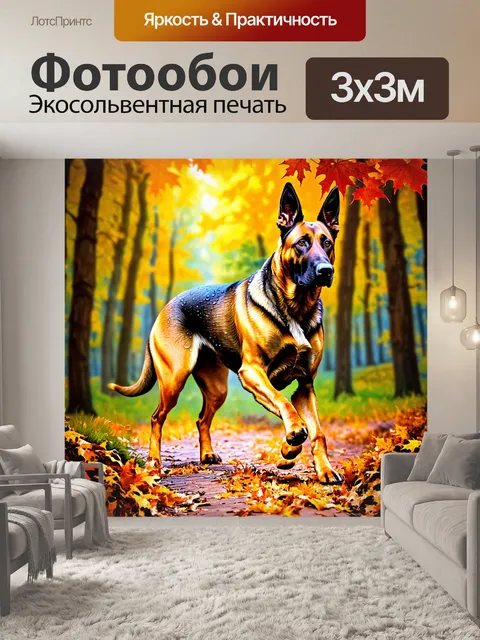 Фотообои создайте рисунок бельгийской овчарки малинуа, гуляющей по осеннему лесу с яркими листьями