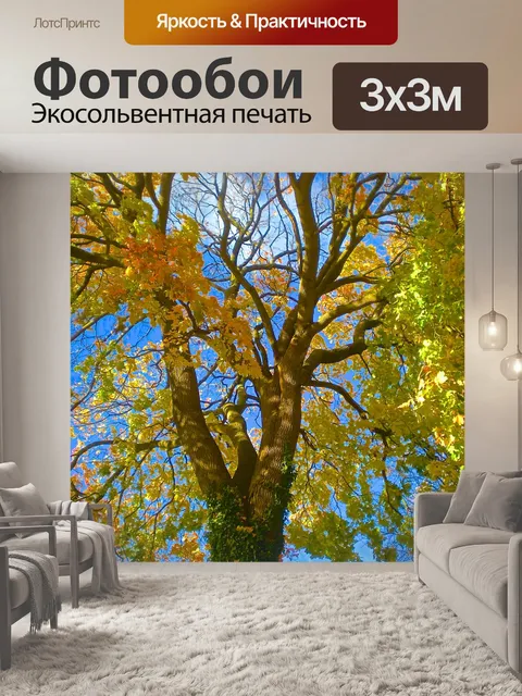Фотообои Дерево