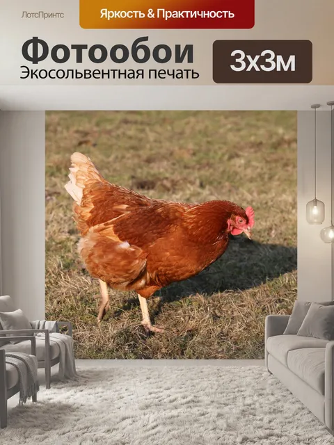 Фотообои Птица