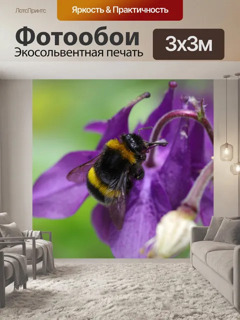 Фотообои Шмель