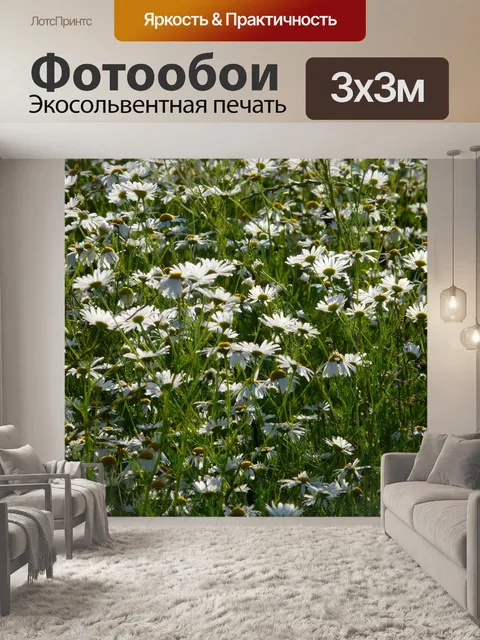 Фотообои Настоящая ромашка
