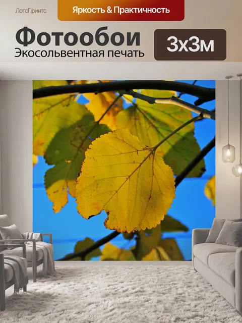 Фотообои желтые листья шелковицы