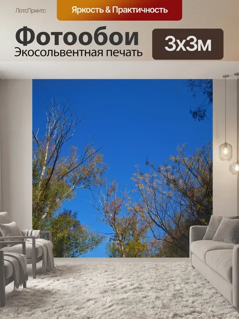 Фотообои смотреть в голубое небо с верхушкой дере