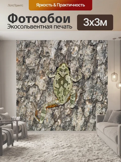 Фотообои Серая древесная лягушка на дереве