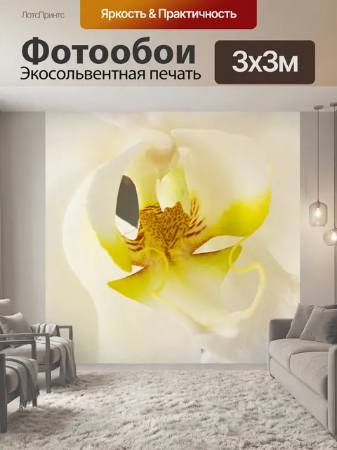 Фотообои Белый Орхидея Фаленопсис
