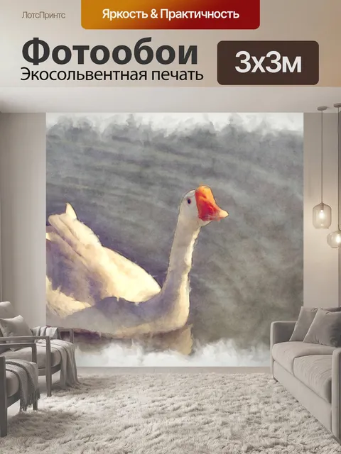 Фотообои плавание лебедя