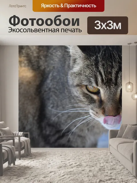 Фотообои Кошки