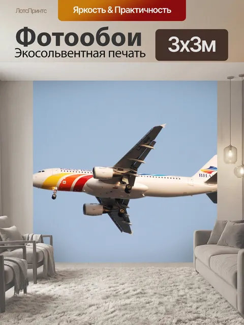Фотообои Коммерческая посадку самолет