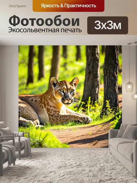 Фотообои пума, охотящаяся в лесу при солнечном свете