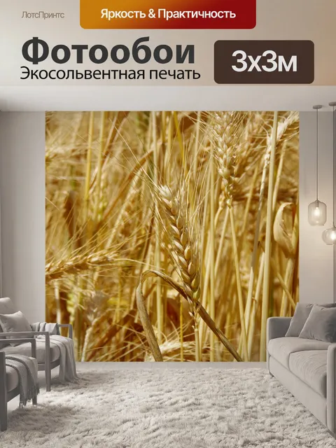 Фотообои Крупный план спелых колосьев пшеницы в п
