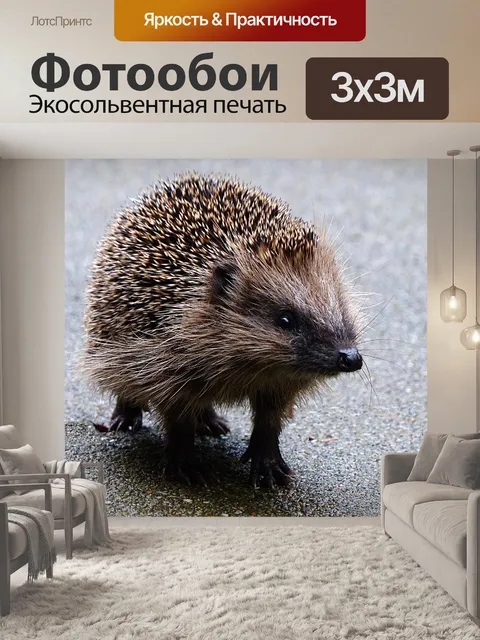 Фотообои Животное