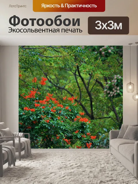 Фотообои оранжевый жимолость лианы в плотной