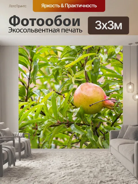 Фотообои Фрукты