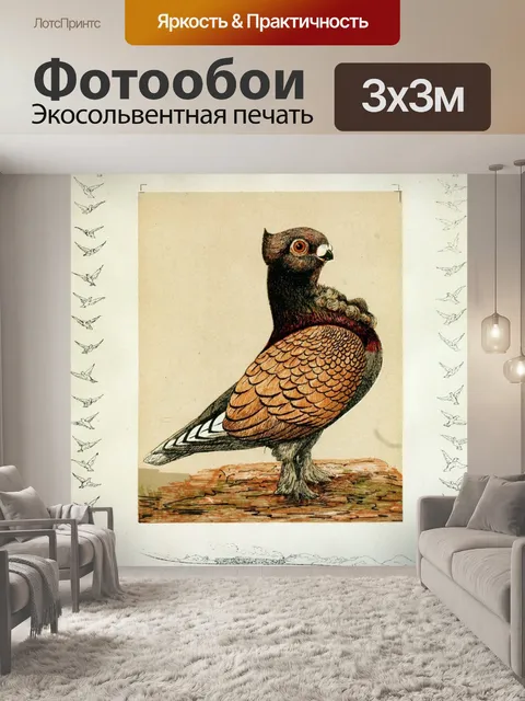Фотообои Голубь птица винтаж старый