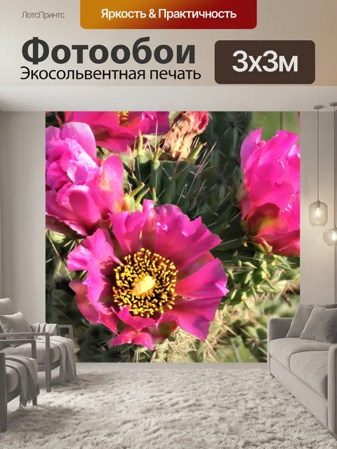 Фотообои Харди-дерево Cholla Цветы крупным планом