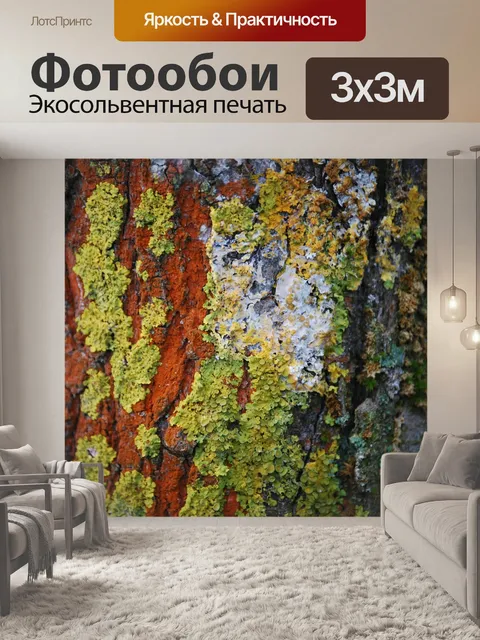 Фотообои Вуд