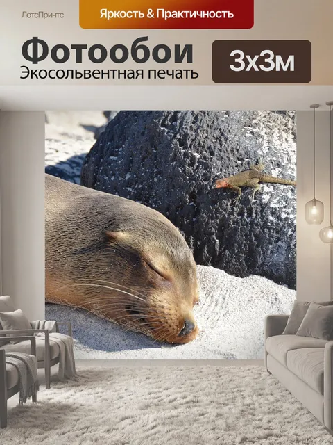 Фотообои Галапагосские острова
