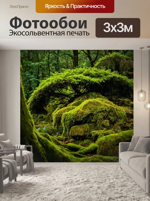 Фотообои лес с дремучими кустарниками и мхом на камнях, создающий мистическую атмосферу