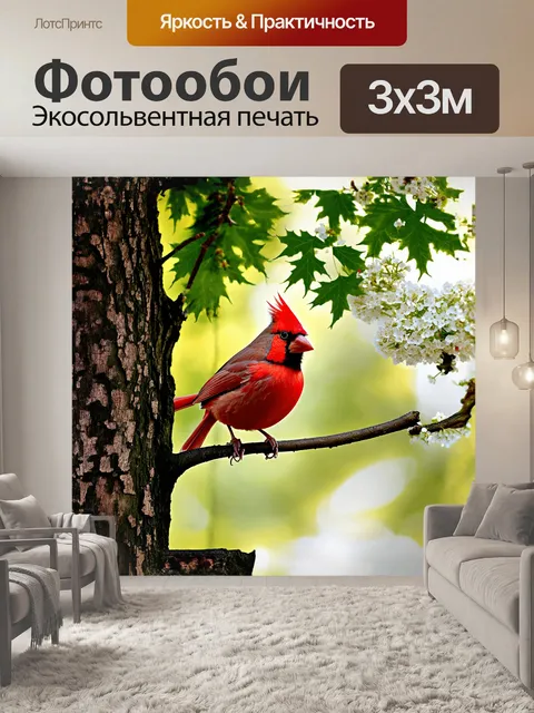 Фотообои красный кардинал изящно уселся на ветке зеленого клена