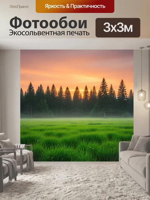 Фотообои Закат над хвойным лесом