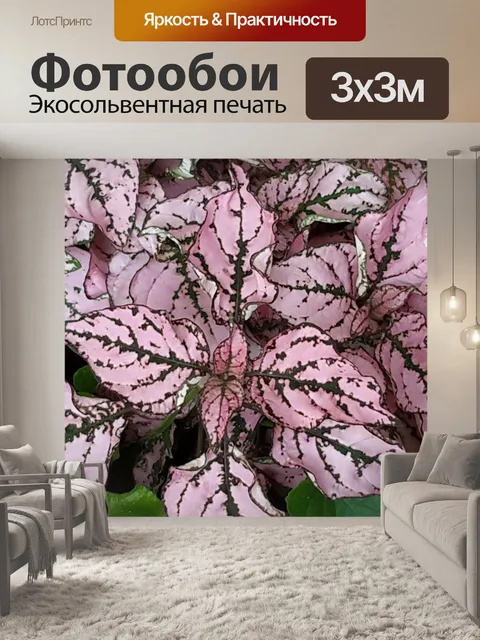 Фотообои Розовый