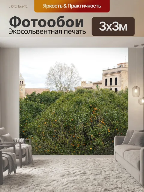 Фотообои Оранжевый роща