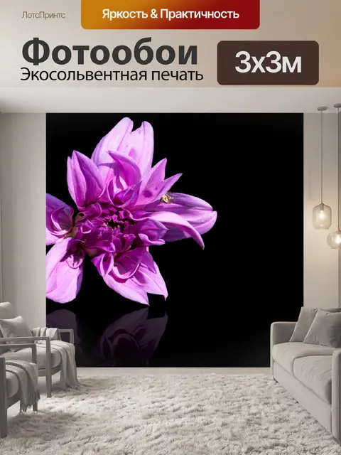 Фотообои Георгин, фиолетовый