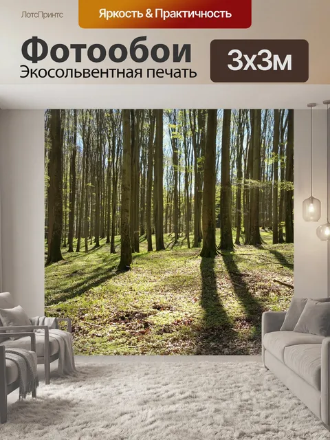 Фотообои Лес
