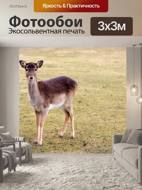 Фотообои Олень
