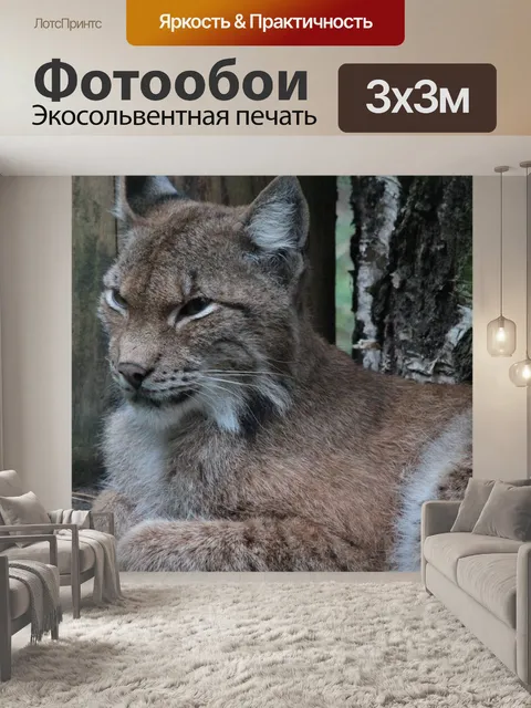 Фотообои Рысь