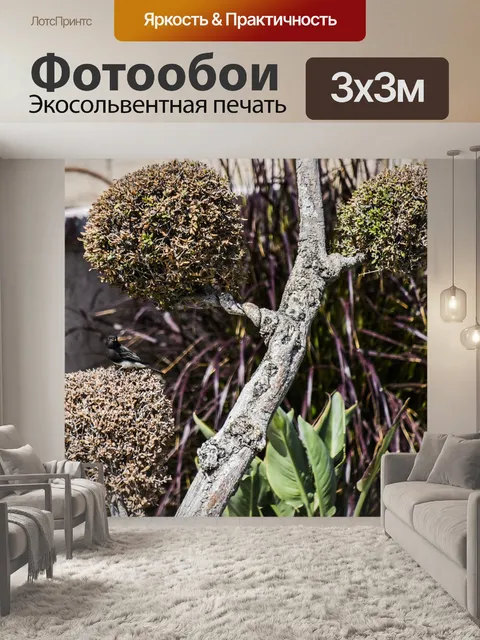 Фотообои Черная птица с белым животом