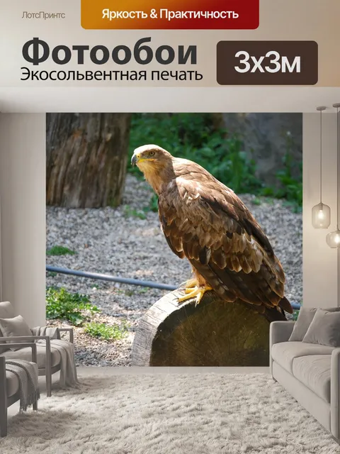 Фотообои Канюк