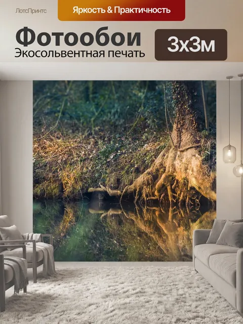 Фотообои Сказочный лес