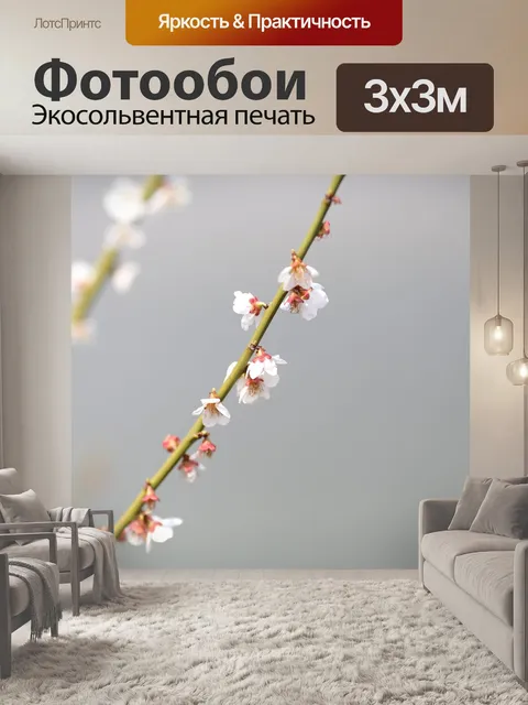 Фотообои Цветение сливы