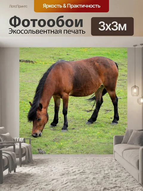 Фотообои Лошади и ферма пони