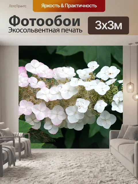 Фотообои Дубовая гортензия