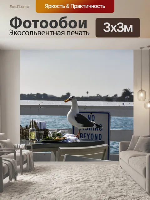Фотообои Чайка на заброшенном обеденном столе